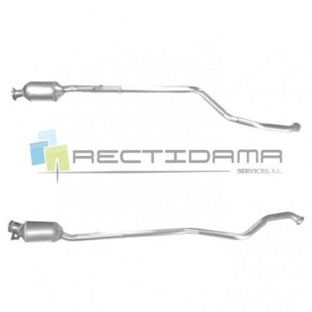 Filtro de parti­culas Renault Laguna